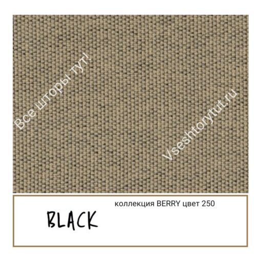 Ткань портьерная Black BERRY, артикул BBer250